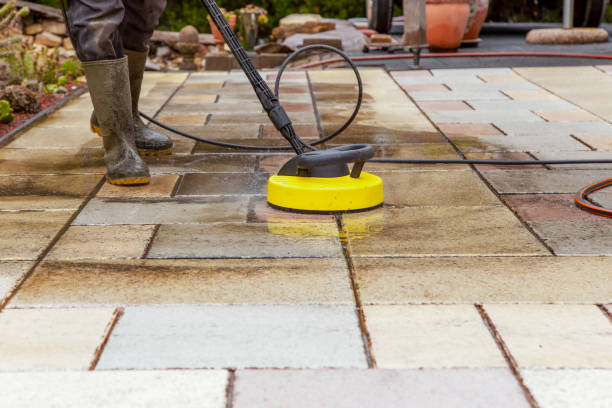 Animal Enclosure Cleaning in Immokalee, FL